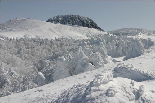 폭설 내린 한라산 만세동산 풍경. 멀리 보이는 것이 한라산 정상이 백록담 화구벽이다. 